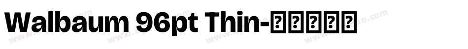 Walbaum 96pt Thin字体转换